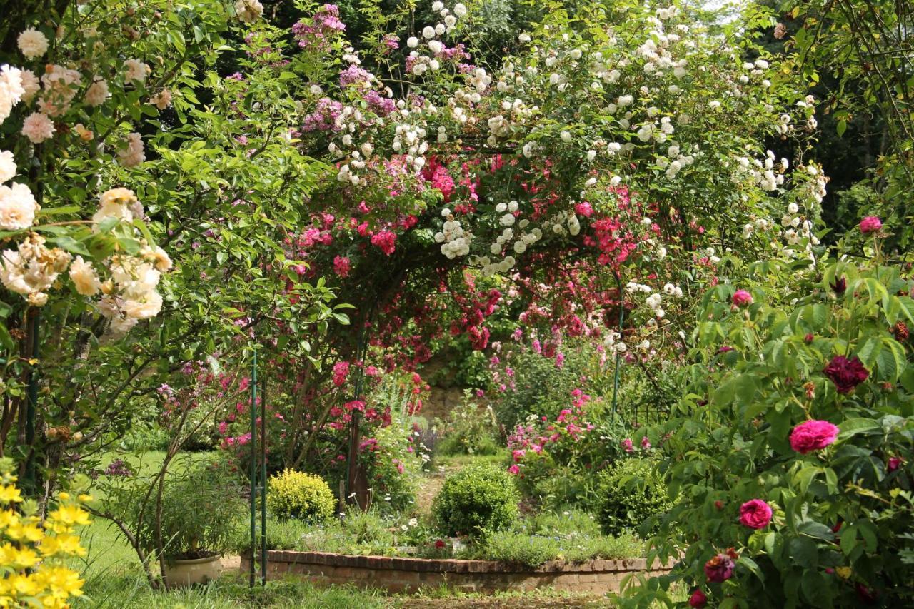 Domaine Des Roches Blanches Villa Le Pin  Exterior foto