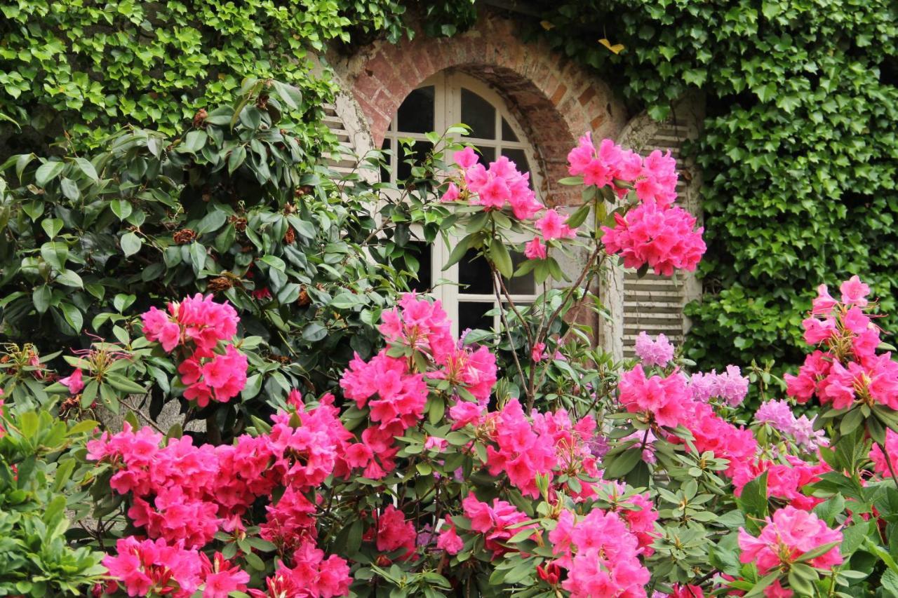 Domaine Des Roches Blanches Villa Le Pin  Exterior foto