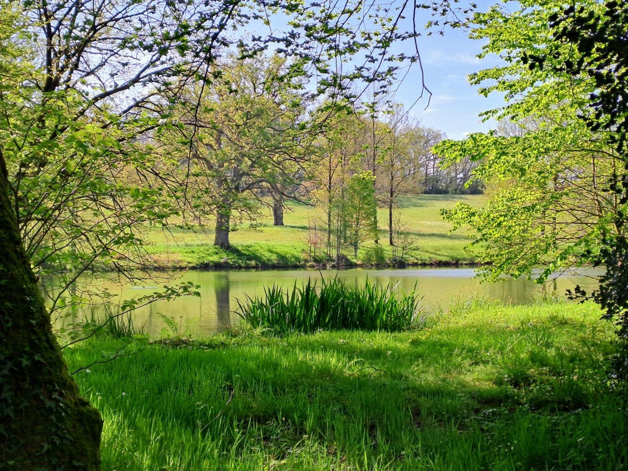 Domaine Des Roches Blanches Villa Le Pin  Exterior foto