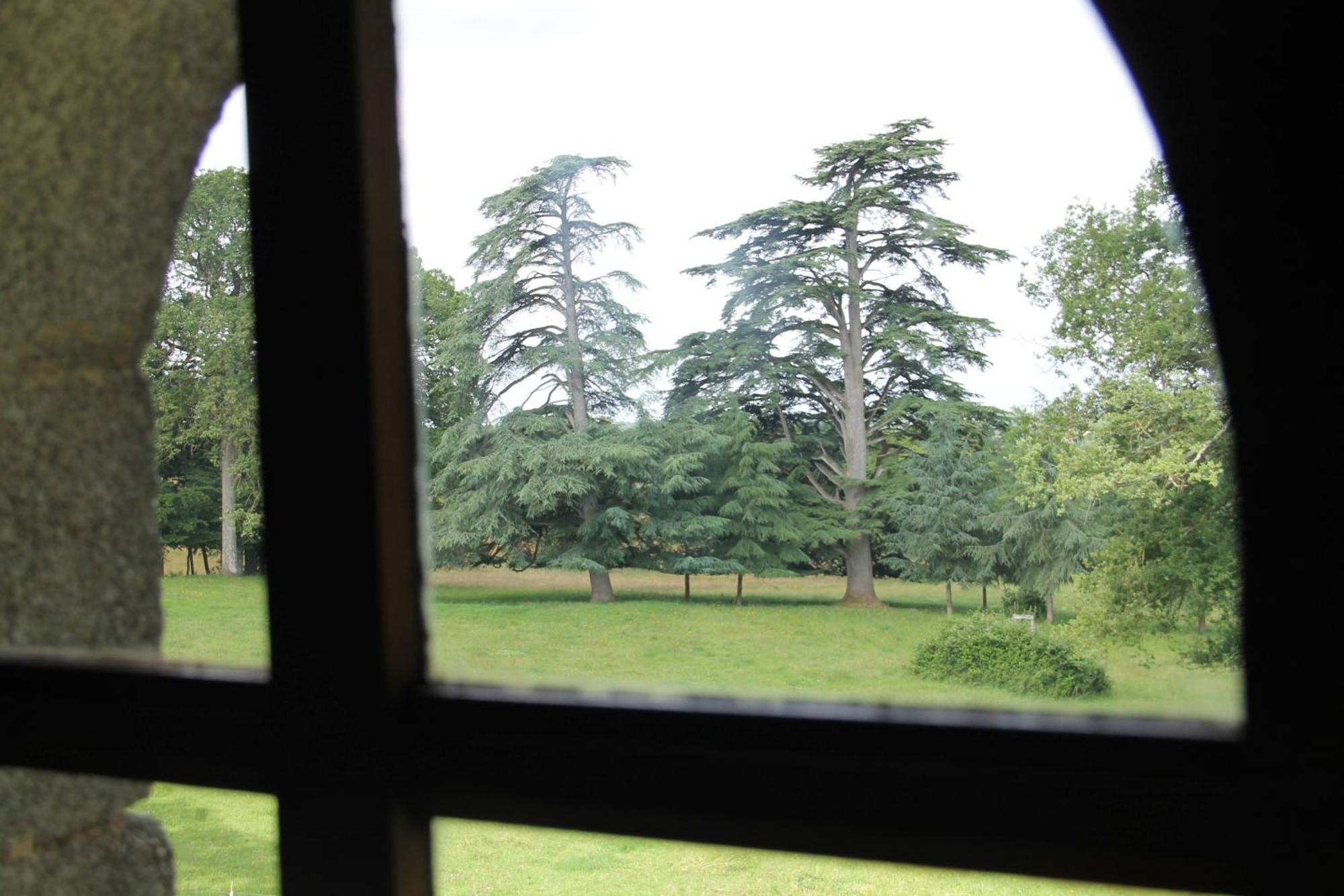 Domaine Des Roches Blanches Villa Le Pin  Exterior foto