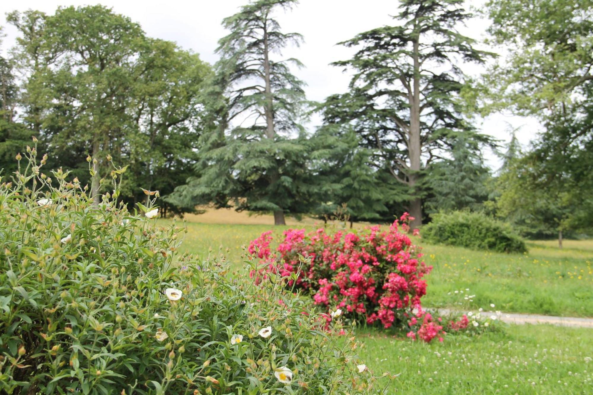 Domaine Des Roches Blanches Villa Le Pin  Exterior foto