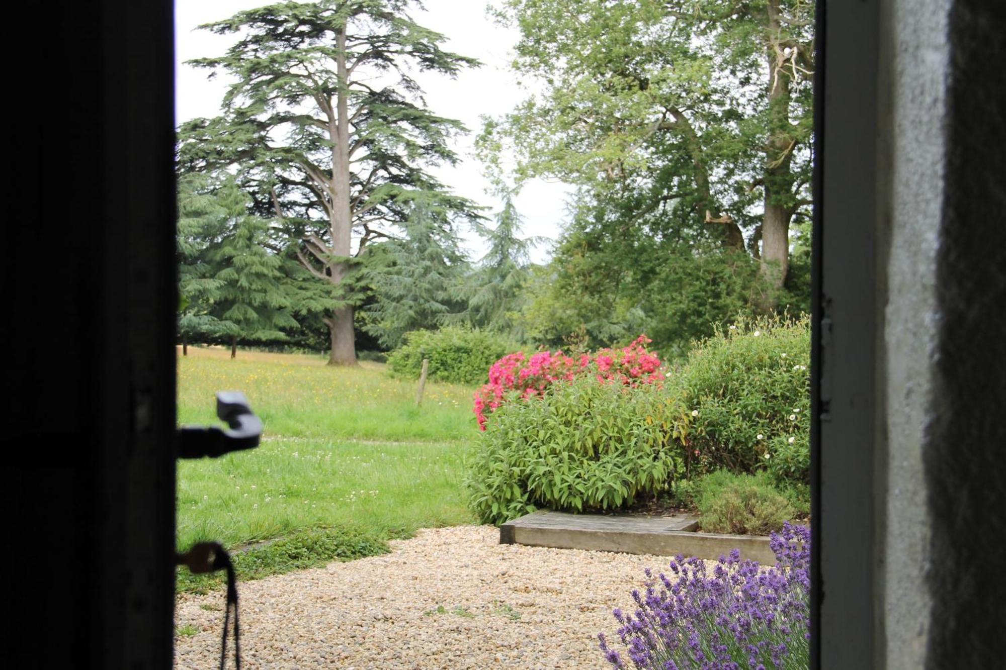 Domaine Des Roches Blanches Villa Le Pin  Exterior foto