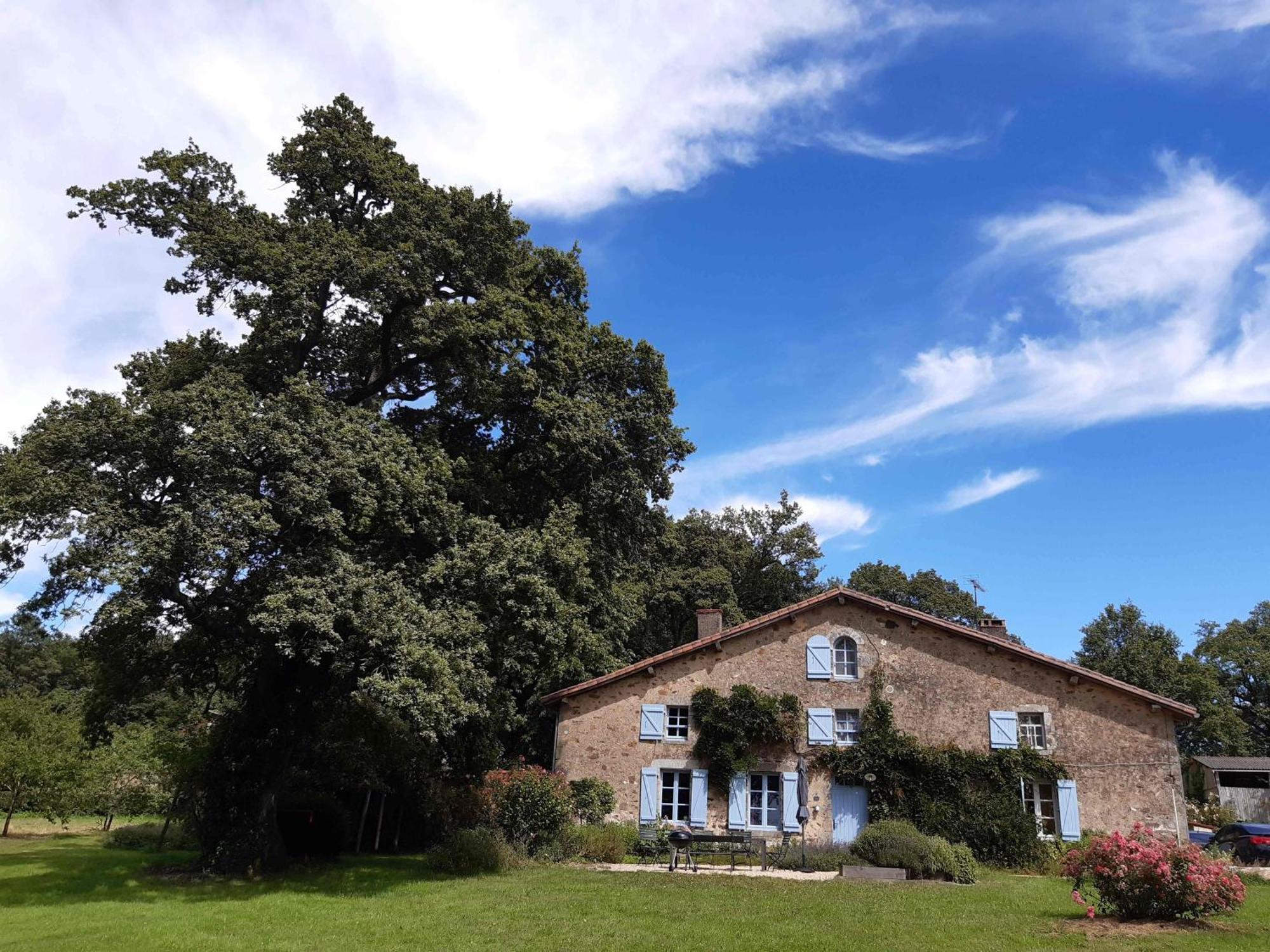 Domaine Des Roches Blanches Villa Le Pin  Exterior foto